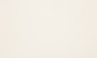 Ivory Silk