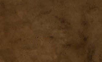 Rustic Bronze