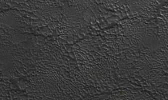 Windy Black Bronze