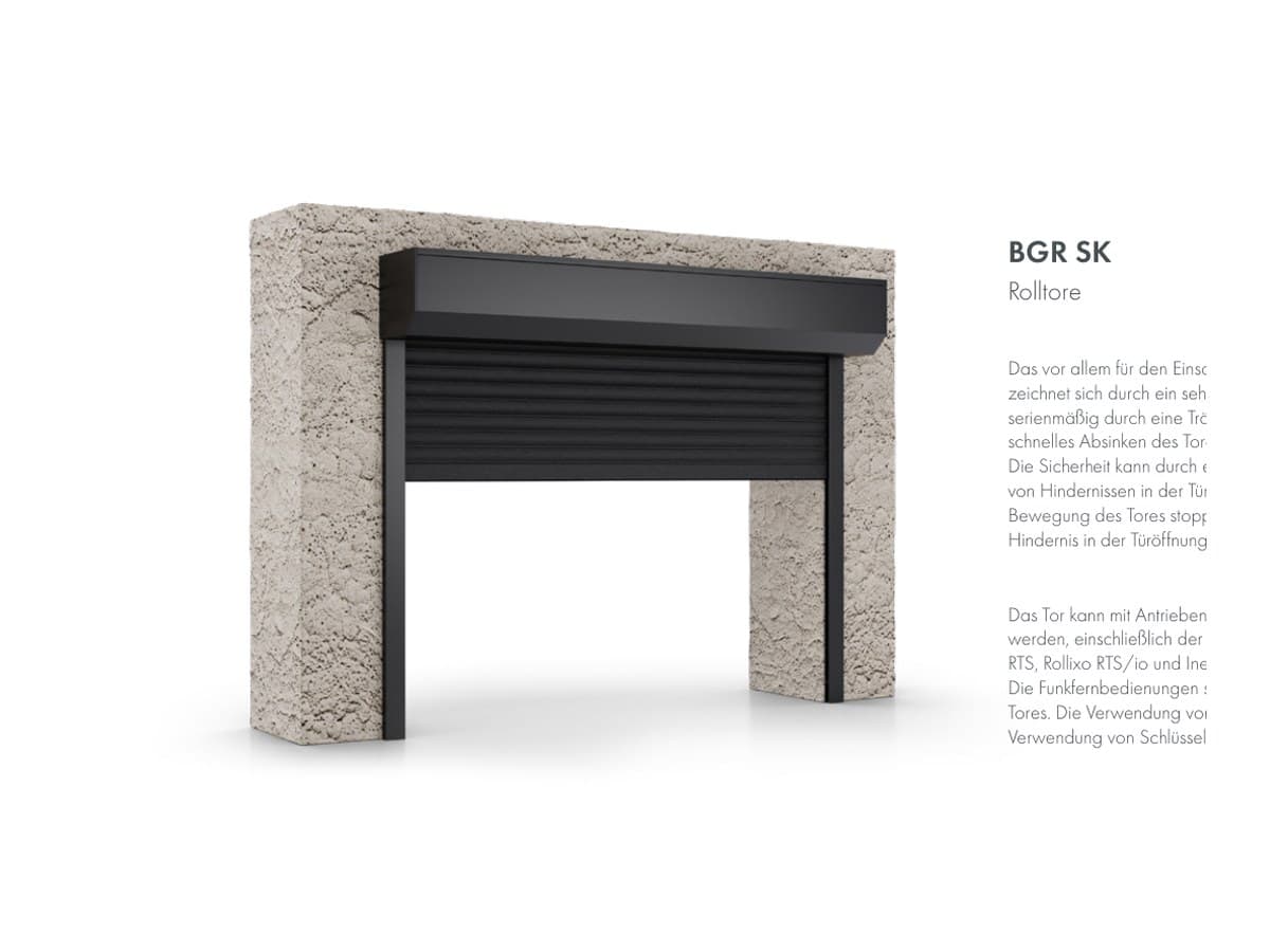 Rolltore BGR SK / Intense